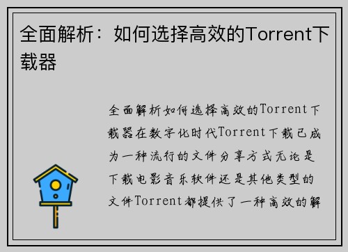 全面解析：如何选择高效的Torrent下载器